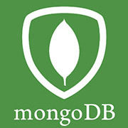 Mongo Database - (Basic)